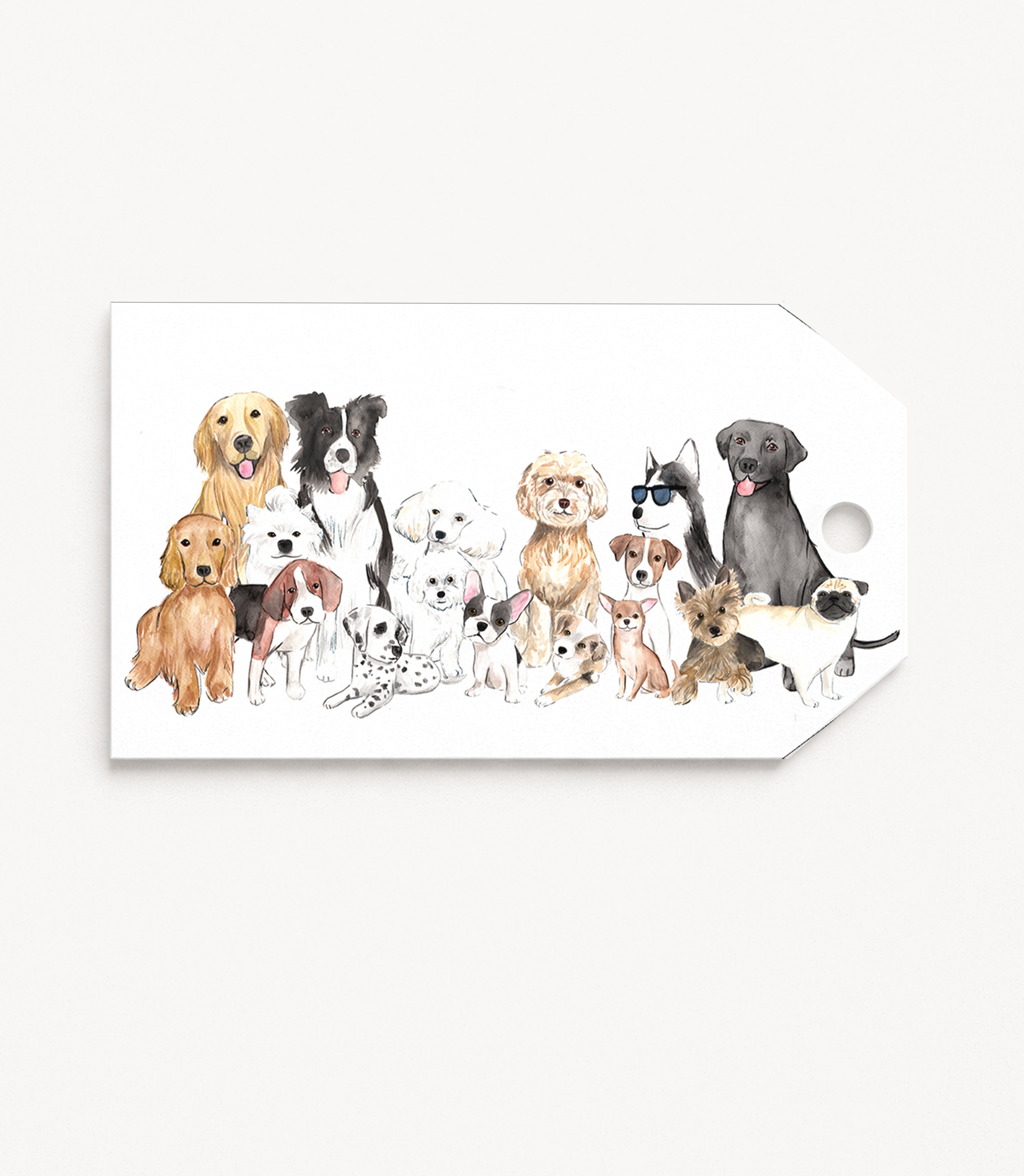 Pack of 12 gift tags GT006