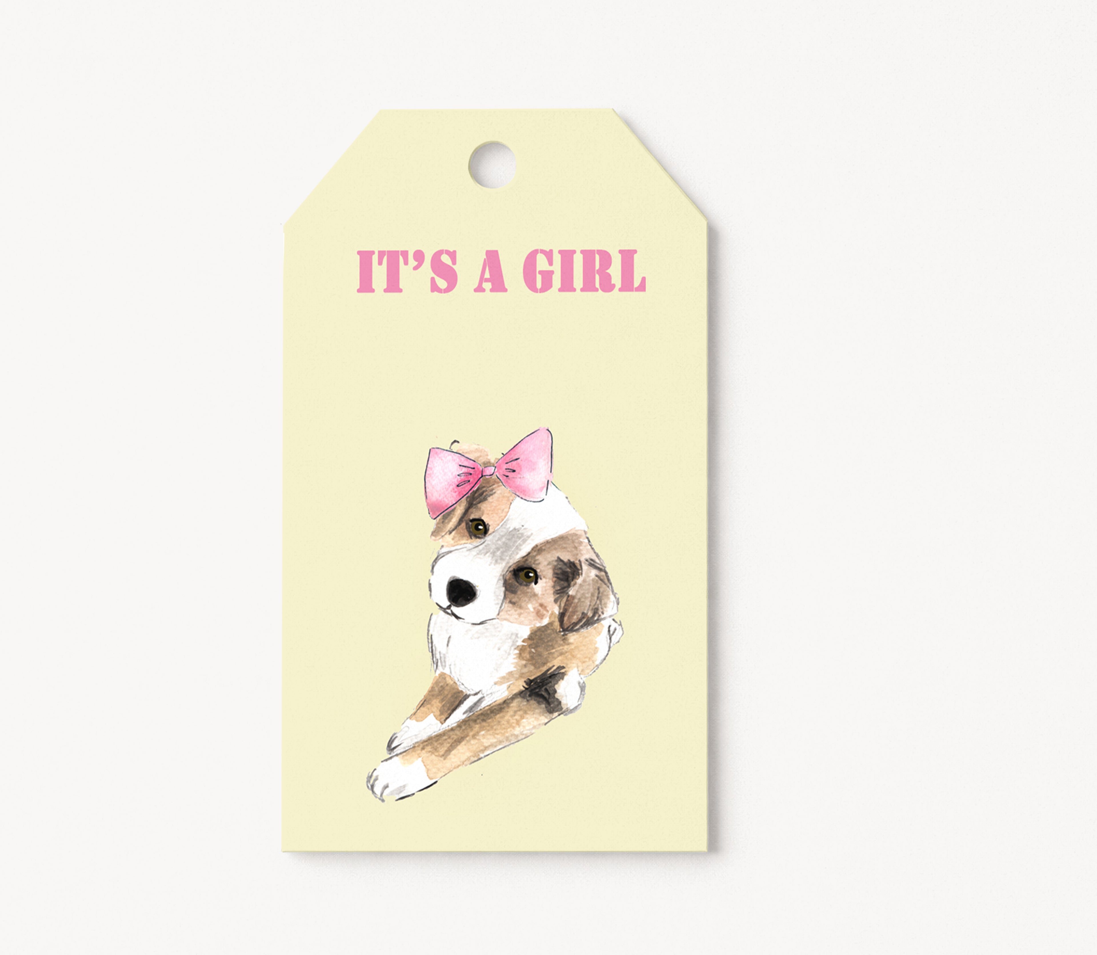Pack of 12 gift tags GT017